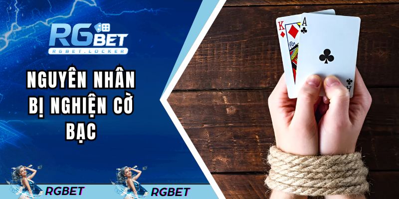 Nguyên nhân bị nghiện cờ bạc